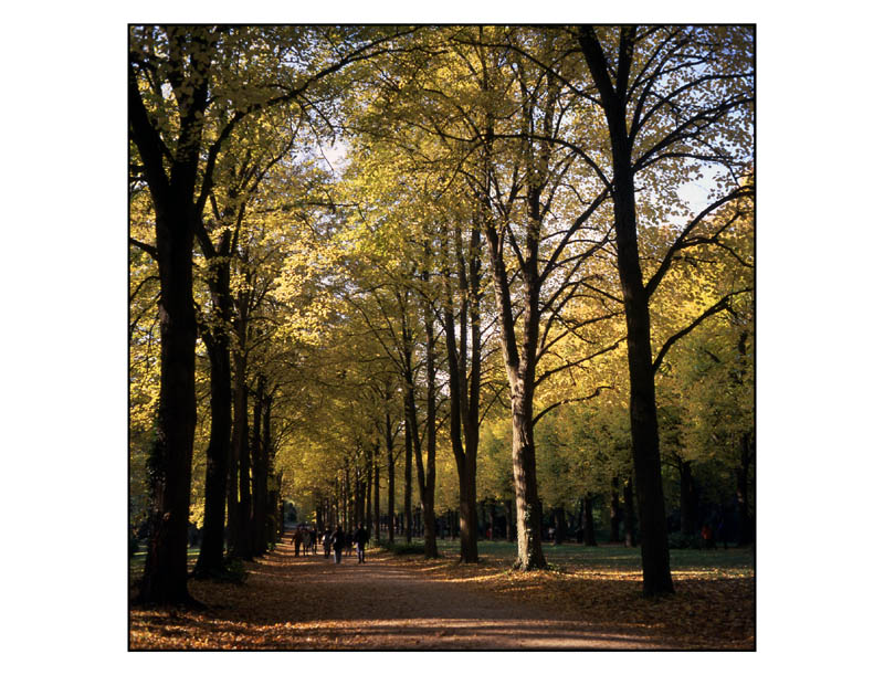 potsdam_allee2