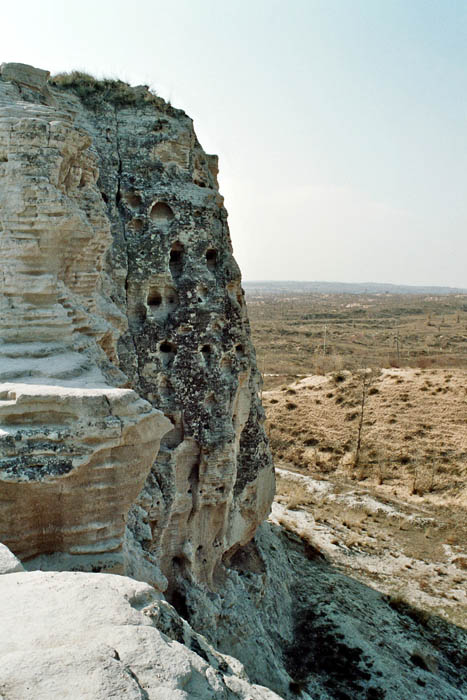china_j008_7