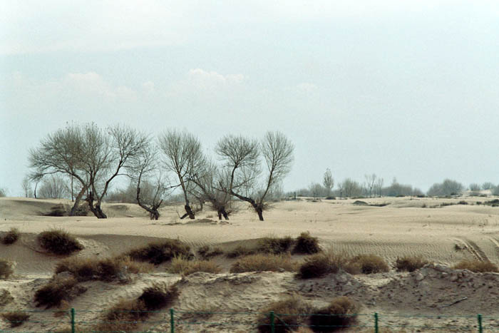china_j031_29A