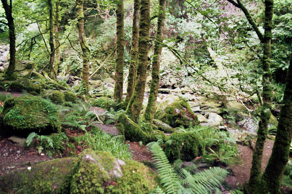 1407_irland_filme_031_30A