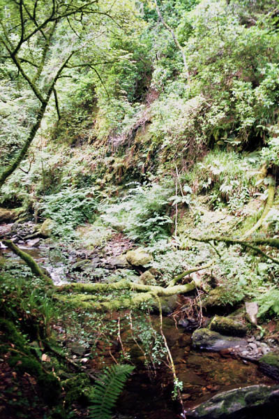 1407_irland_filme_032_31A