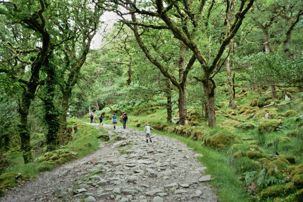 1407_irland_filmf_011_11
