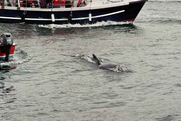 1407_irland_filmh_026_26