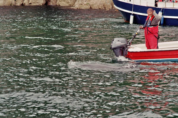1407_irland_filmh_031_31