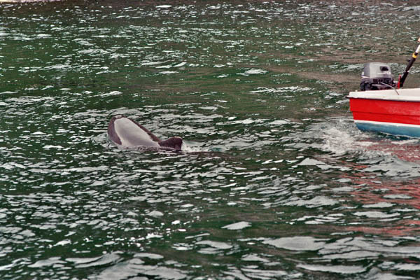 1407_irland_filmh_032_32