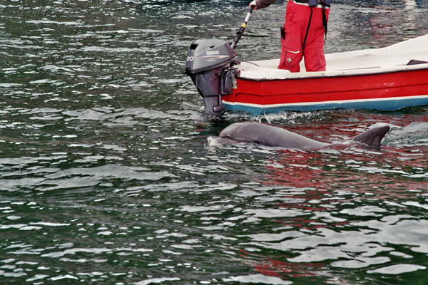 1407_irland_filmh_036_36