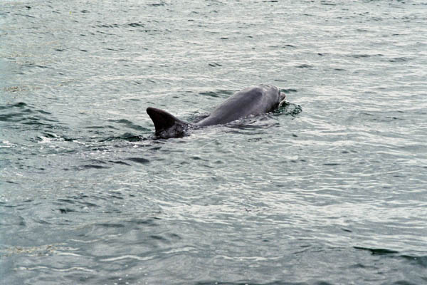 1407_irland_filmi_003_3A