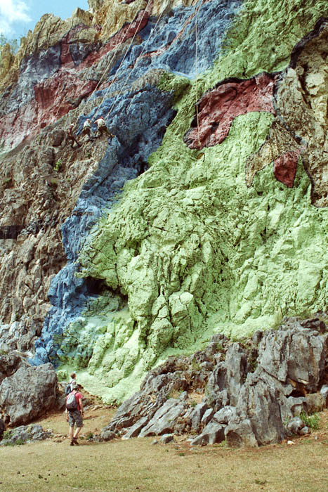 d019_19A