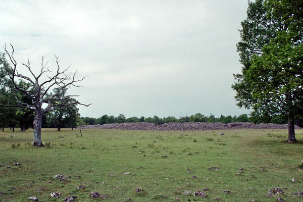 f006_6A