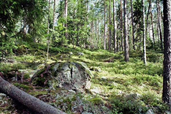 g036_36A
