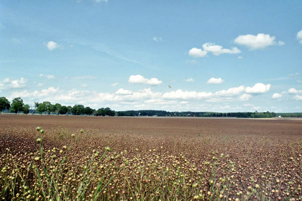 i014_14A
