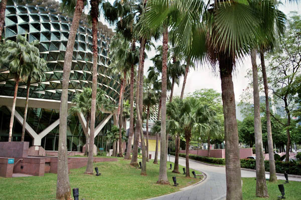 1407_singapore_film_f_011_11A
