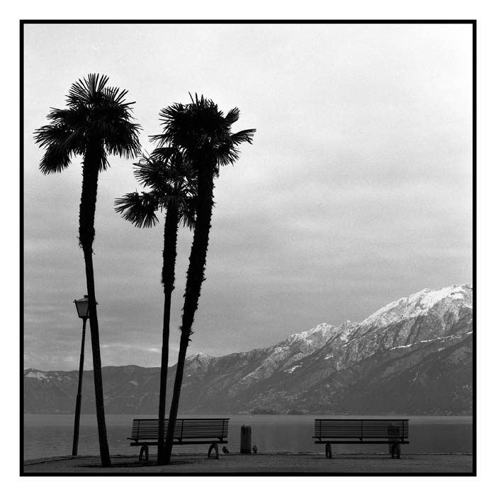 film8_neg02