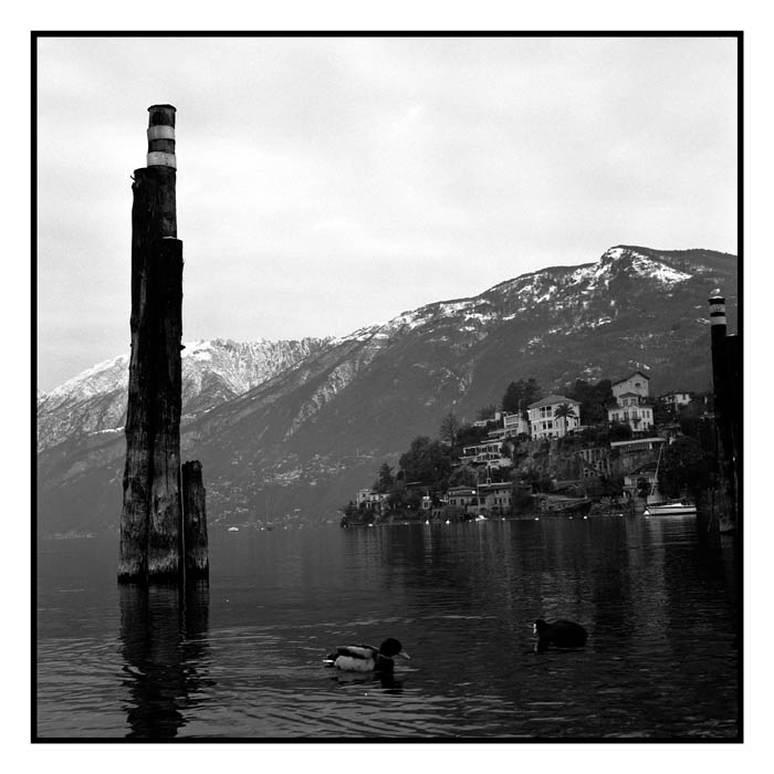 film8_neg04