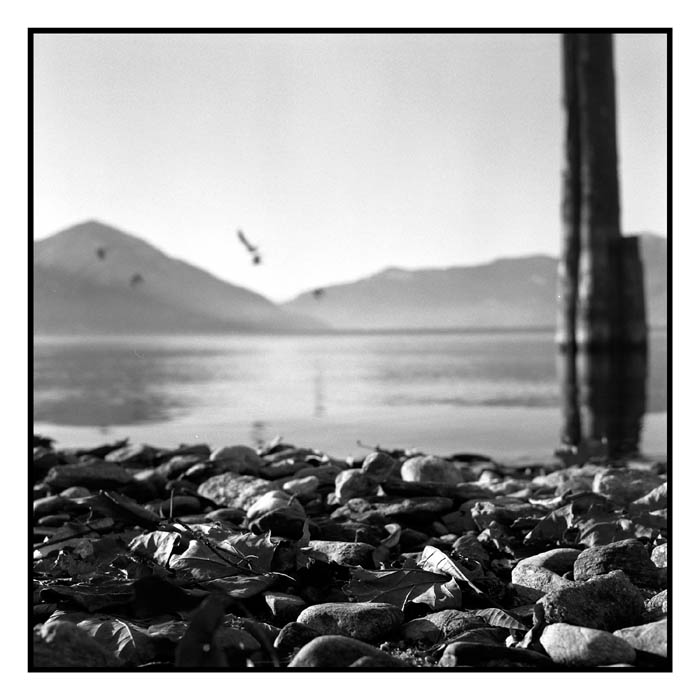 film9_neg02