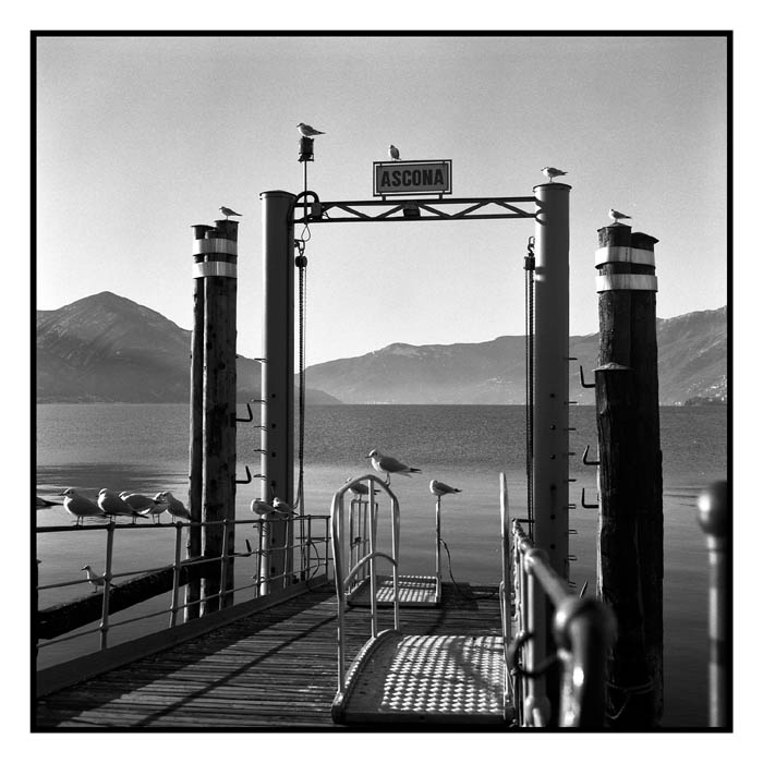 film9_neg03